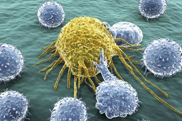 Investigating Immunologic Approaches to Cancer Treatment